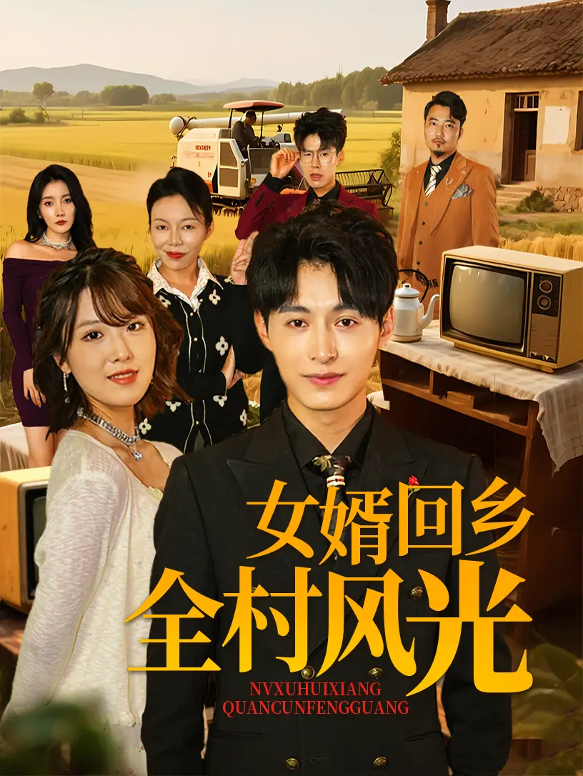 女婿回乡全村风光（69集）